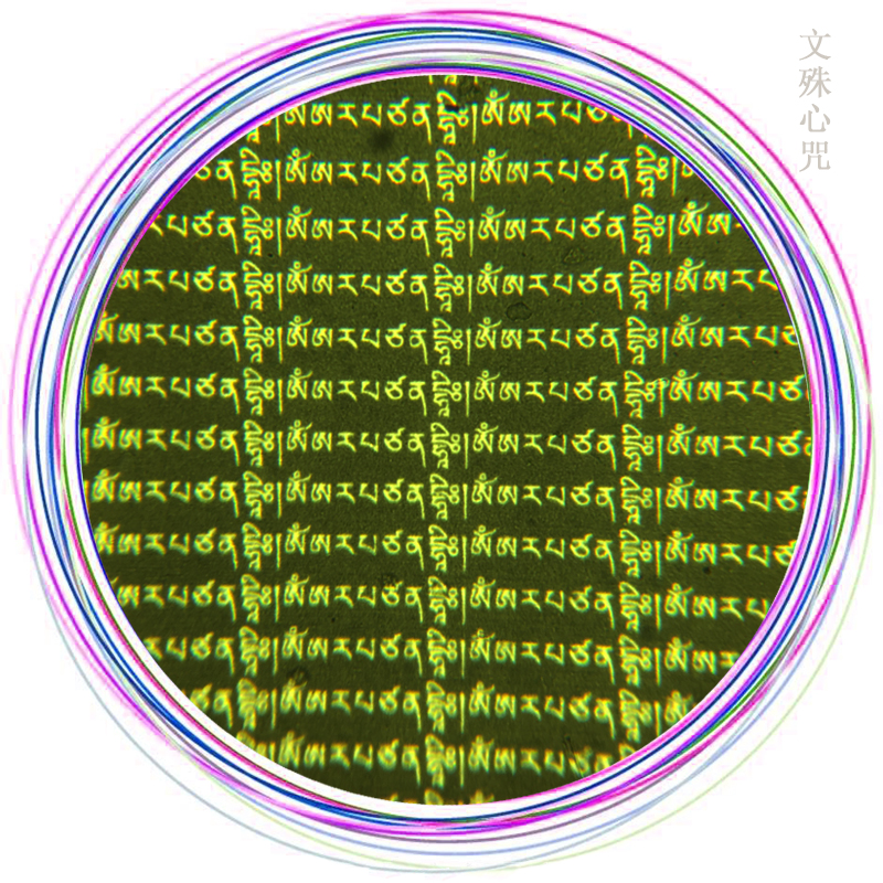 语狮子缩微经文35mm黑黄财神莲师文殊绿度母药师六字真言大白伞盖在类目 特色手工艺, 少数民族特色工艺品, 藏族特色, 其他中 - 来自Buy2taobao.com提供专业的淘宝代购服务