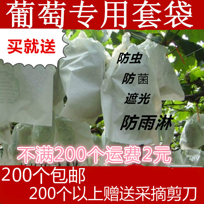 葡萄套袋葡萄袋葡萄专用套袋防虫防鸟葡萄袋子厂家保鲜袋包邮在类目 鲜花速递/花卉仿真/绿植园艺, 园艺用品, 其它园艺用品中 - 来自Buy2taobao.com提供专业的淘宝代购服务