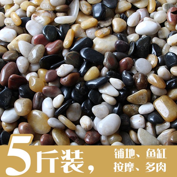 鱼缸水底石头脚踩鹅卵石多肉铺面透气通用型小白石子养兰花铺在类目 鲜花速递/花卉仿真/绿植园艺, 园艺用品, 其它园艺用品中 - 来自Buy2taobao.com提供专业的淘宝代购服务