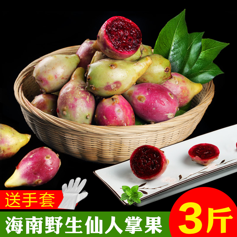 Hainan Cactus Fruit 3 Redskins egg Tropical fruit Farm Sanyain the Aquatic meat/Fresh fruits and vegetables/Cooked , Fresh fruit , Other category - from Buy2taobao.com to provide professional Taobao agent buy service