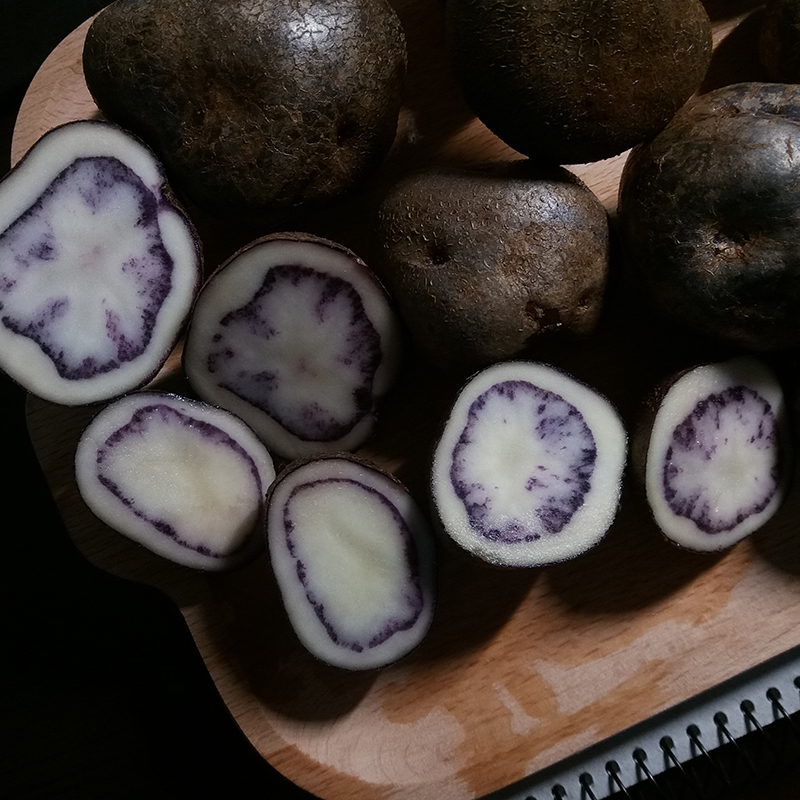 大凉山乌洋芋农家七彩土豆净重5斤在类目 水产肉类/新鲜蔬果/熟食, 新鲜蔬菜/蔬菜制品, 新鲜蔬菜, 土豆中 - 来自Buy2taobao.com提供专业的淘宝代购服务