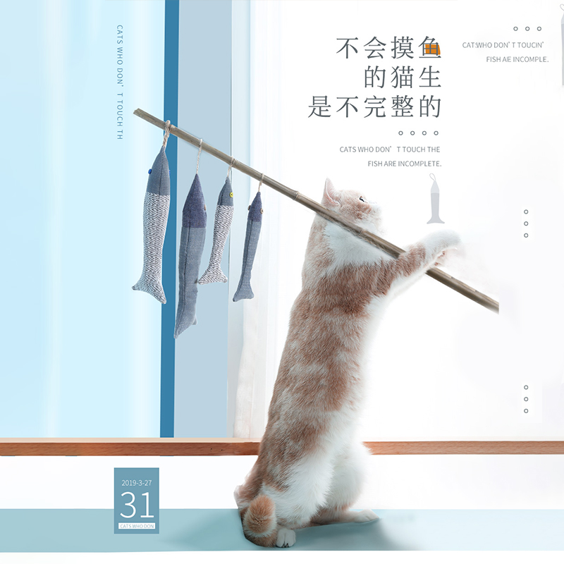 派涂petstwo 猫抓板逗猫棒猫玩具鱼仿真猫薄荷磨牙小猫抱枕磨爪器在类目 宠物/宠物食品及用品, 猫/狗玩具, 发声玩具中 - 来自Buy2taobao.com提供专业的淘宝代购服务