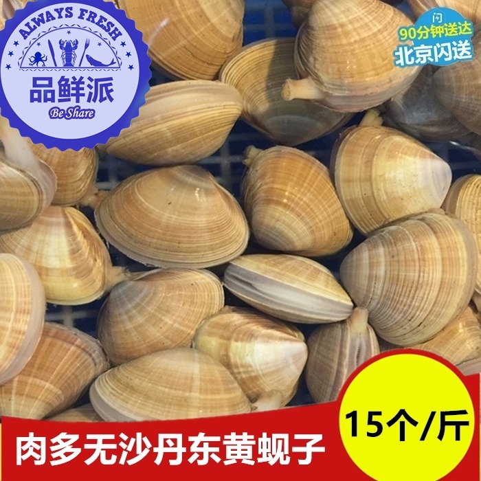 15個/斤鮮活丹東黃蚬子黃金貝大文蛤海蚬子無沙水産貝類北京閃送在類目 水產肉類/新鮮蔬果/熟食, 海鮮/水產品/製品, 貝類, 貝類製品中 - 來自Buy2taobao.com提供專業的淘寶代購服務