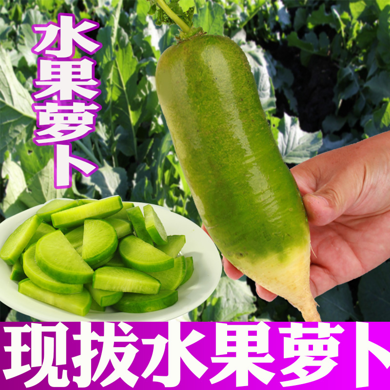 新鲜萝卜潍坊萝卜潍县青萝卜现拔现发青萝卜5斤包邮新鲜水果萝卜在类目 水产肉类/新鲜蔬果/熟食, 新鲜蔬菜/蔬菜制品, 新鲜蔬菜, 其它中 - 来自Buy2taobao.com提供专业的淘宝代购服务