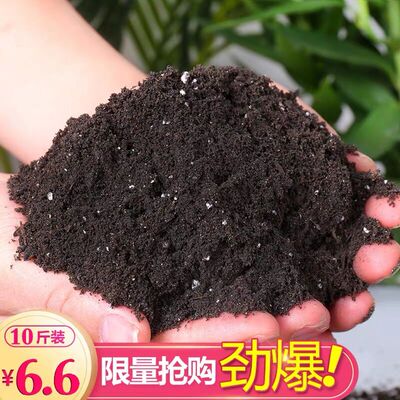 营养土养花通用型多肉专用花土家用种花种菜种植泥土绿萝有机土壤