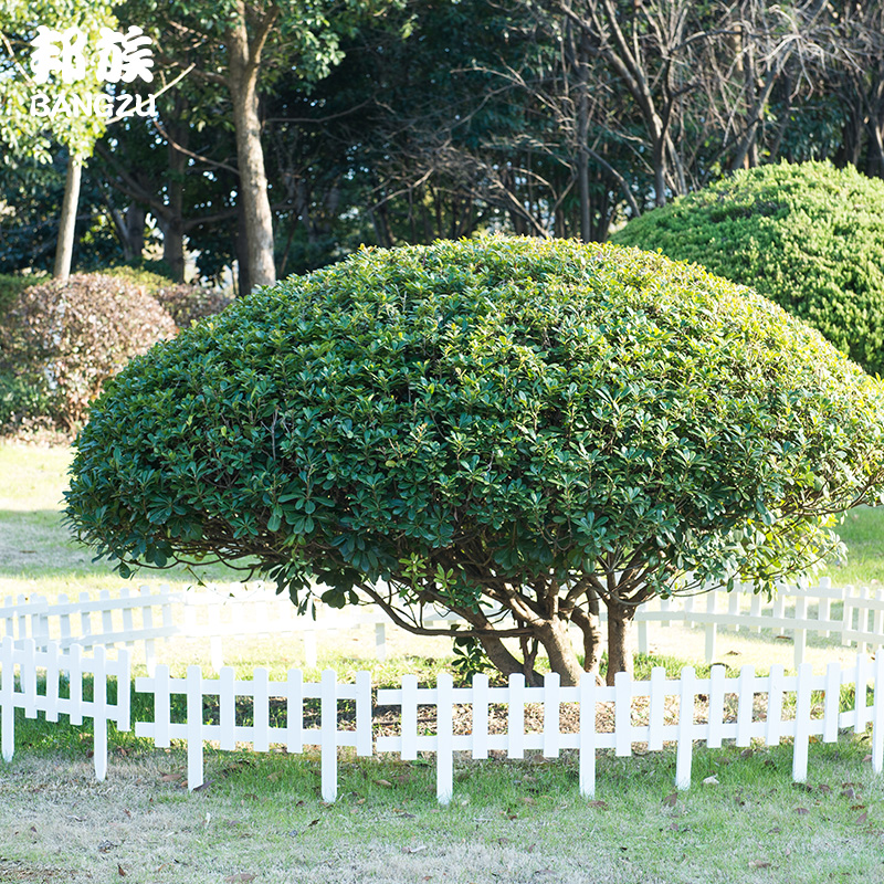 solid wood fence enclosure Bamboo fence Vegetable garden Garden Parterre Lawn guardrail Pond Barrier white solid wood fencein the Flower delivery/Flowers simulation/Plants gardening , Gardening supplies , Large fence/Fences category - from Buy2taobao.com to provide professional Taobao agent buy service