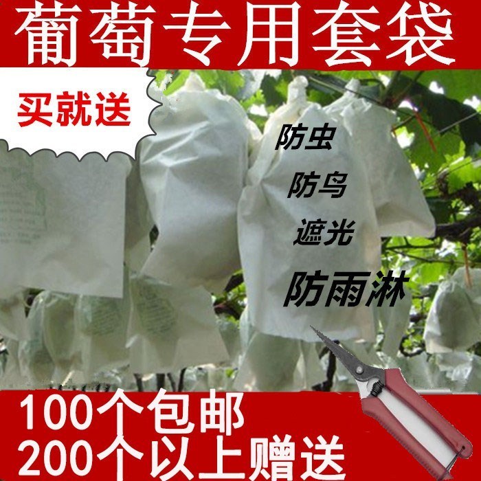 Fruit Bag Fruit tree Fruit bag Fruit-bearing forest Yellow peach grape Orchard Fruit bag paper bag fruit Bagging Packaging bag Birdin the Flower delivery/Flowers simulation/Plants gardening , Gardening supplies , Other Garden Supplies category - from Buy2taobao.com to provide professional Taobao agent buy service