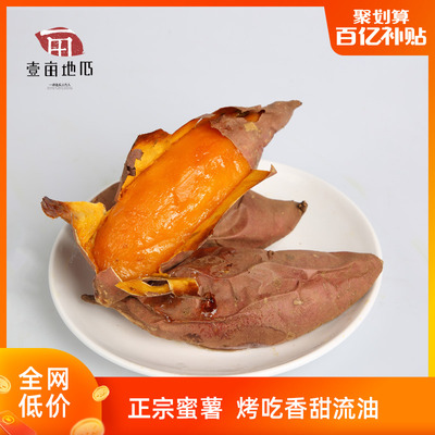 【正常发货】山东糖心流油蜜薯烟薯25新鲜自种地瓜红薯5斤