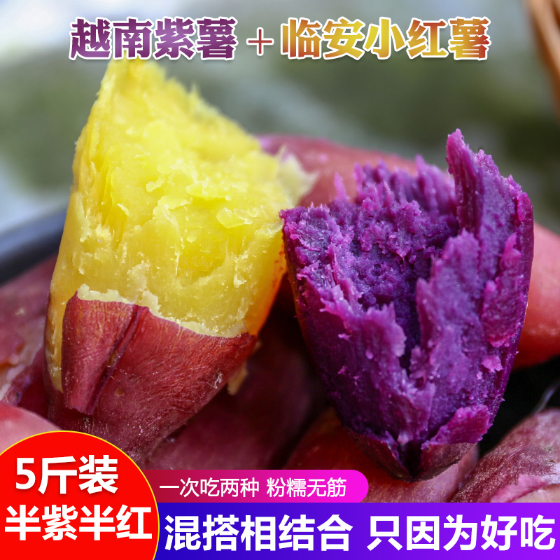 临安天目山小香薯新鲜板栗红薯越南紫薯组合蜜薯沙地地瓜农家番薯在类目 水产肉类/新鲜蔬果/熟食, 新鲜蔬菜/蔬菜制品, 新鲜蔬菜, 番薯中 - 来自Buy2taobao.com提供专业的淘宝代购服务