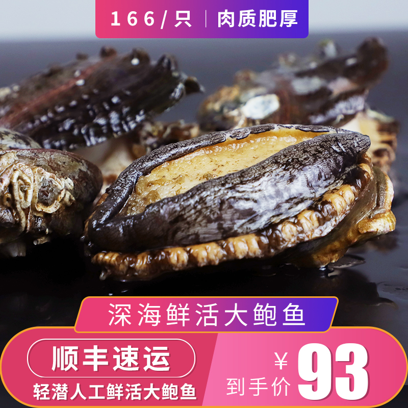 小平岛大连鲜活鲍鱼166g/只即食刺身大鲍鱼海鲜水产买3只包邮在类目 水产肉类/新鲜蔬果/熟食, 海鲜/水产品/制品, 贝类, 鲍鱼中 - 来自Buy2taobao.com提供专业的淘宝代购服务