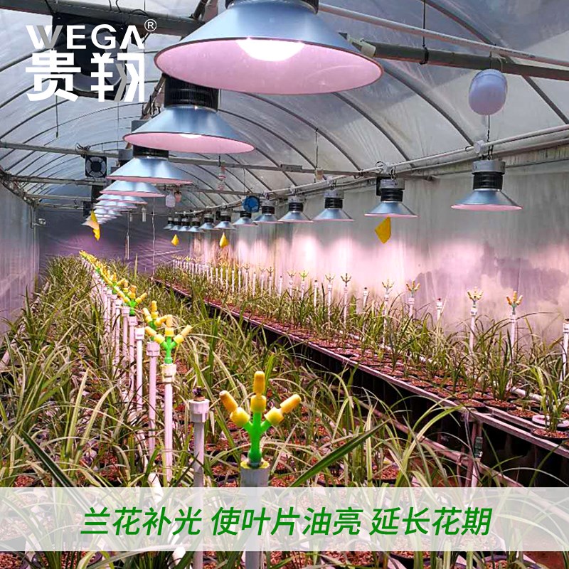 贵翔 植物补光灯全光谱蔬菜温室大棚室内多肉兰花仿太阳光生长灯|ruв категории награду материалов, огни освещения, функциональный светильник, вегетативная лампа - от Buy2taobao.com для оказания профессиональной услуги покупки агента Taobao