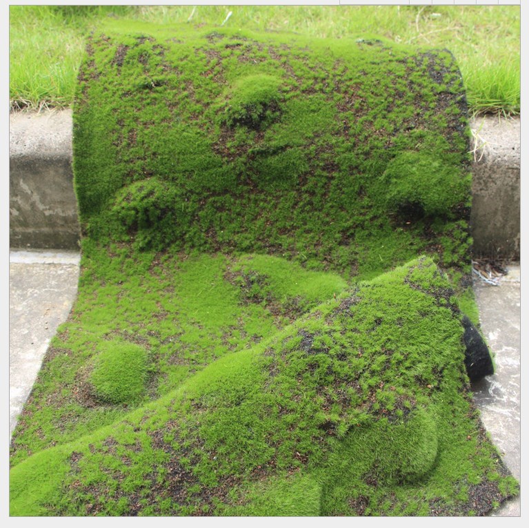 裂纹酒店苔癣仿真草皮苔藓道具空间庭院植被地毯细毛造型真假隔在类目 鲜花速递/花卉仿真/绿植园艺, 仿真花/绿植/蔬果成品(新), 仿真绿植中 - 来自Buy2taobao.com提供专业的淘宝代购服务