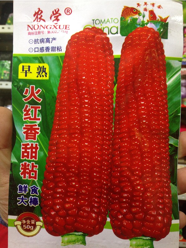 東北特産玉米苞米粘黏苞米玉米紅玉米黑玉米種子籽煮苞米50克在類目 鮮花速遞/花卉仿真/綠植園藝, 花卉/蔬果/草坪種子(新), 家庭園藝種子中 - 來自Buy2taobao.com提供專業的淘寶代購服務