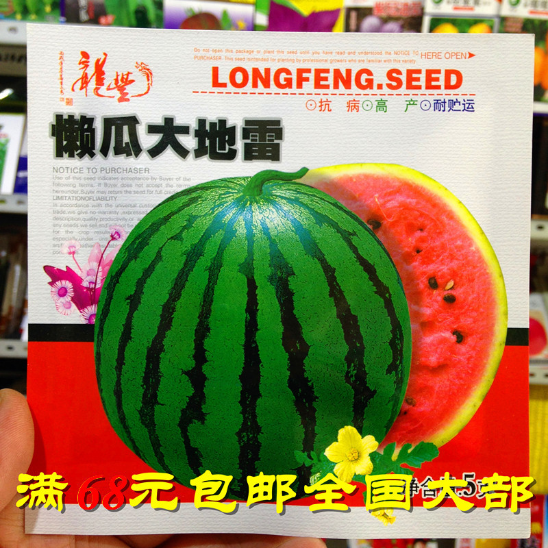 佳木斯龍豐種子地雷西瓜種子籽皮薄個大甜西瓜早西瓜5克在類目 鮮花速遞/花卉仿真/綠植園藝, 花卉/蔬果/草坪種子(新), 家庭園藝種子中 - 來自Buy2taobao.com提供專業的淘寶代購服務