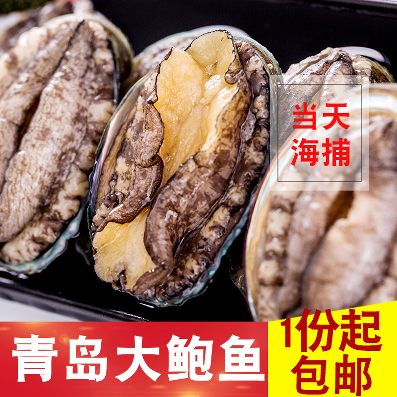 鲜活鲍鱼 野生鲍鱼10-12个新鲜贝类捕捞个大冷冻鲍鱼1斤包邮在类目 水产肉类/新鲜蔬果/熟食, 海鲜/水产品/制品, 贝类, 鲍鱼中 - 来自Buy2taobao.com提供专业的淘宝代购服务