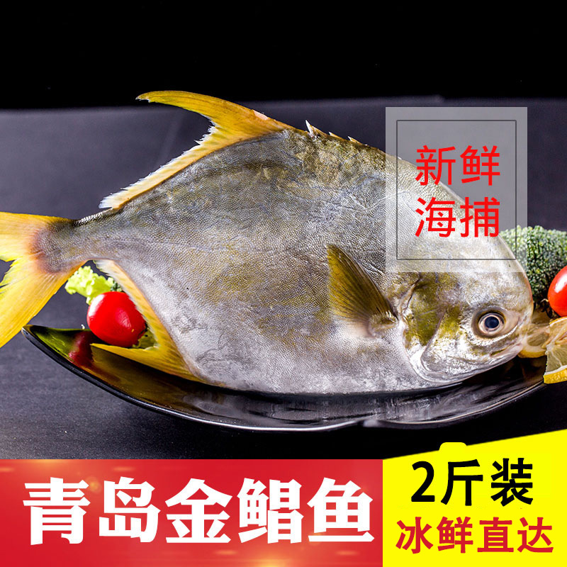 青岛新鲜野生金鲳鱼深海鲜活鲳鱼冷冻海鱼平鱼2条装鱼类1000g在类目 水产肉类/新鲜蔬果/熟食, 海鲜/水产品/制品, 其它中 - 来自Buy2taobao.com提供专业的淘宝代购服务
