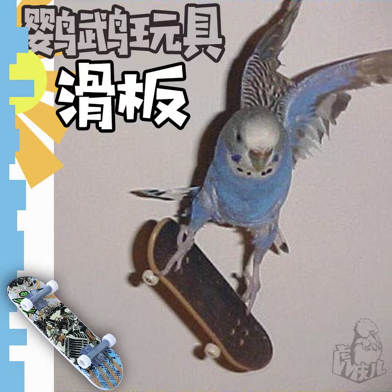 中小型鹦鹉磨砂滑板車鹦鹉鳥益智訓練玩具腳抓磨爪板訓鳥工具在類目 寵物/寵物食品及用品, 鳥類及用品, 鳥中 - 來自Buy2taobao.com提供專業的淘寶代購服務