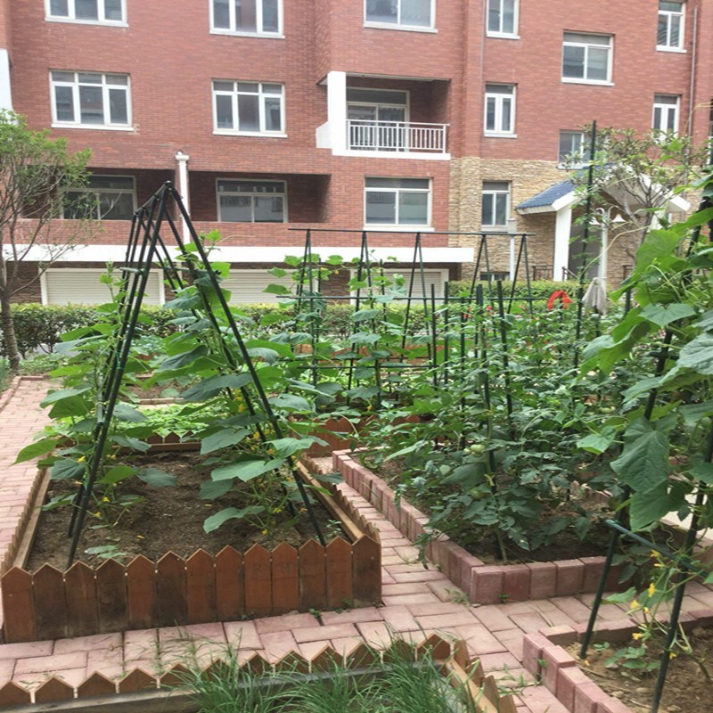 gourd ground tomato Climbing fresh Botany Vegetables plant Bracket Flower trellis Vegetables Pole bean grid Pergolain the Flower delivery/Flowers simulation/Plants gardening , Gardening supplies , Other Garden Supplies category - from Buy2taobao.com to provide professional Taobao agent buy service
