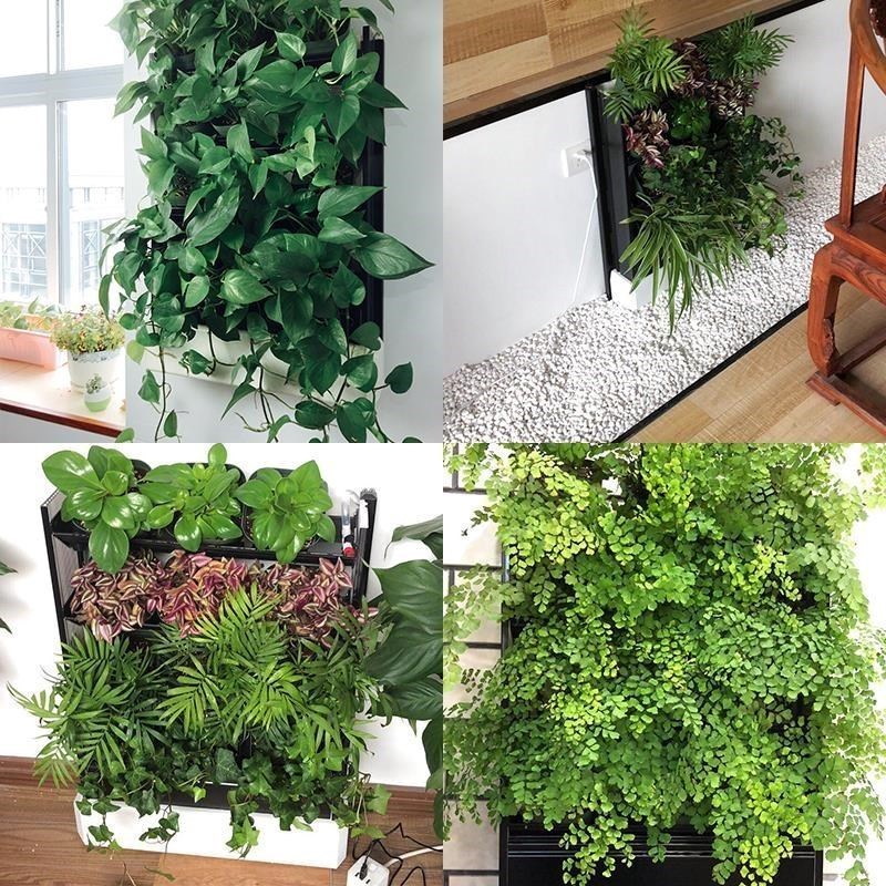 2018植物墙架子智能壁挂花盆自动滴灌溉室内外园林立体装饰创意绿|msdalam kategori penghantaran bunga/bunga simulasi/tumbuhan berkebun, pasu/bunga/flowerpot/Bunga (baru), bunga - dari Buy2taobao.com untuk memberikan perkhidmatan ejen Taobao profesional membeli