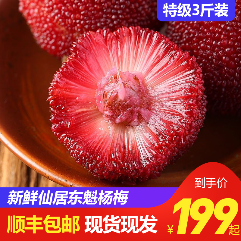 预售仙居东魁特级果大杨梅3斤当季新鲜水果孕妇现摘现发顺丰包邮在类目 水产肉类/新鲜蔬果/熟食, 新鲜水果, 其它中 - 来自Buy2taobao.com提供专业的淘宝代购服务