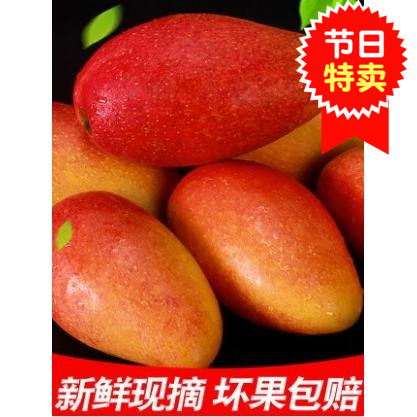 海南贵妃芒新鲜水果芒果大果5斤8个不是通货5斤49包邮先摘先发|ruв категории водной мясо/свежие фрукты и овощи/еда, свежие фрукты, манго - от Buy2taobao.com для оказания профессиональной услуги покупки агента Taobao