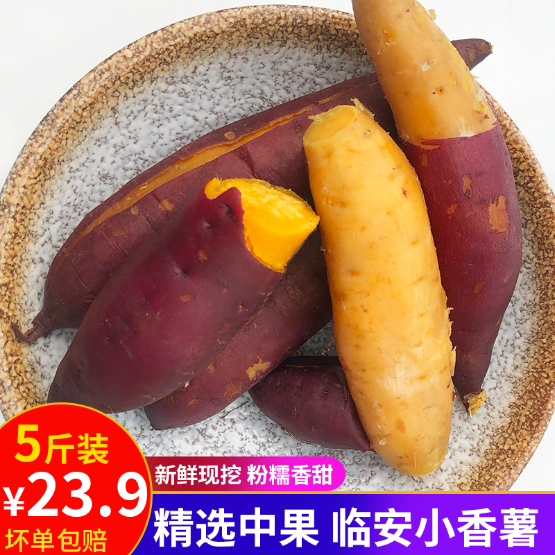 精选5斤中号临安天目香薯板栗红薯 新鲜番薯 农家地瓜 非蜜薯紫薯在类目 水产肉类/新鲜蔬果/熟食, 新鲜蔬菜/蔬菜制品, 新鲜蔬菜, 番薯中 - 来自Buy2taobao.com提供专业的淘宝代购服务