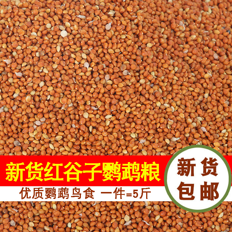 虎皮鹦鹉吃的鸟食饲料带壳红小米粮食红谷子玄凤包邮5斤非黄谷子在类目 宠物/宠物食品及用品, 鸟类及用品, 鸟食中 - 来自Buy2taobao.com提供专业的淘宝代购服务