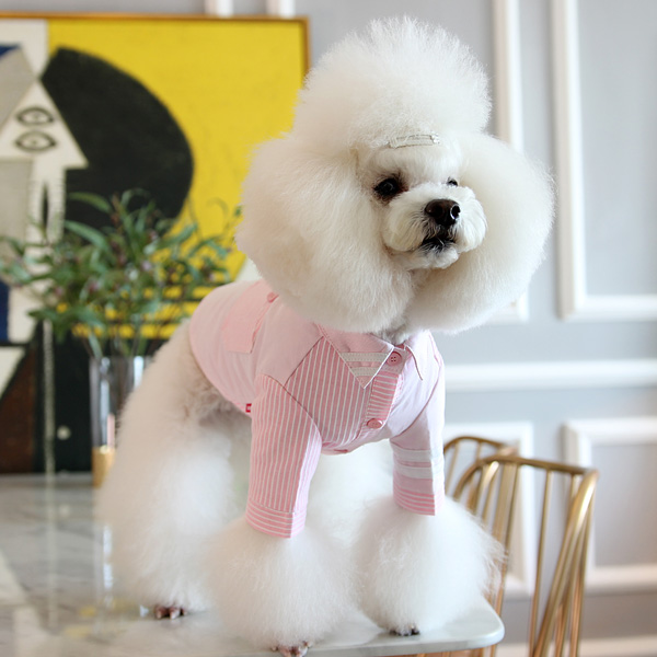 妮克威尔nicovaer宠物用品泰迪狗狗衣服小型犬 纯棉条纹撞色衬衣在类目 宠物/宠物食品及用品, 宠物服饰及配件, 宠物服装/雨衣中 - 来自Buy2taobao.com提供专业的淘宝代购服务