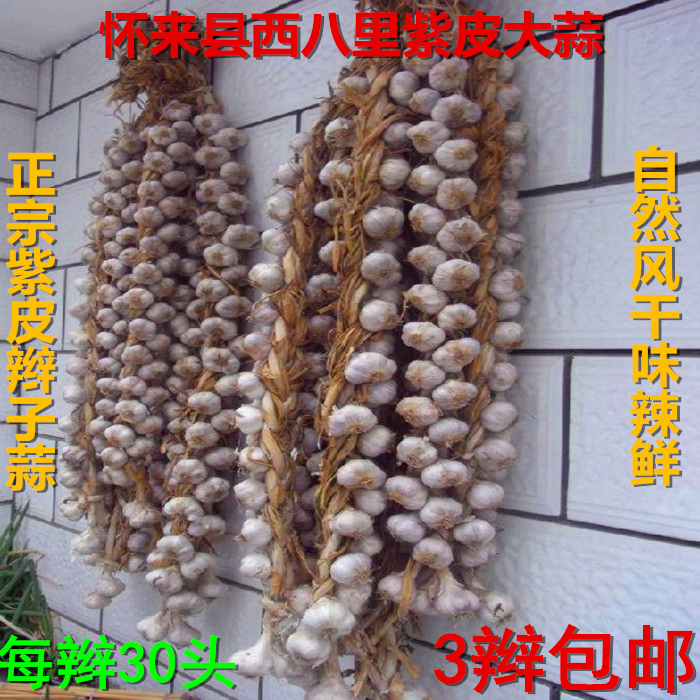 张家口特产西八里紫皮大蒜正宗四六瓣做腊八蒜一辫30头3辫包邮|msdalam kategori daging perikanan/Buah-buahan segar dan sayur-sayuran/dimasak, sayur-sayuran segar/Vegetable Products, bawang putih - dari Buy2taobao.com untuk memberikan perkhidmatan ejen Taobao profesional membeli