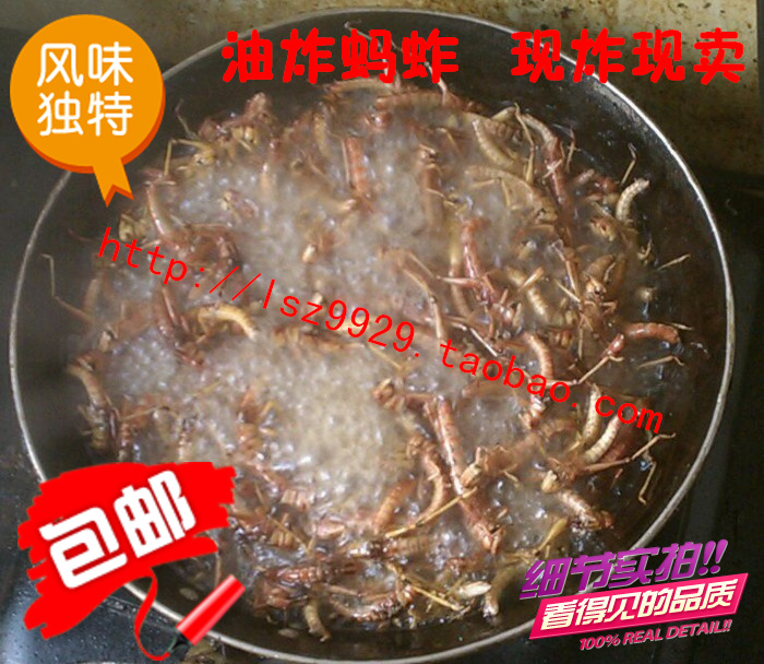 新鲜油炸蚂蚱即食香辣蝗虫麻辣昆虫活体蚱蜢野味虫子美食山东特产|ruв категории зерно риса/север и Юг сухих грузов/приправы, север и Юг сухих грузов/мясо сухих грузов, сухогрузный/родной, другие - от Buy2taobao.com для оказания профессиональной услуги покупки агента Taobao