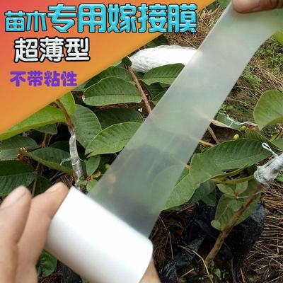 果树接树嫁接膜专用膜包扎带嫁接专用缠绕膜果树嫁西红柿胶带