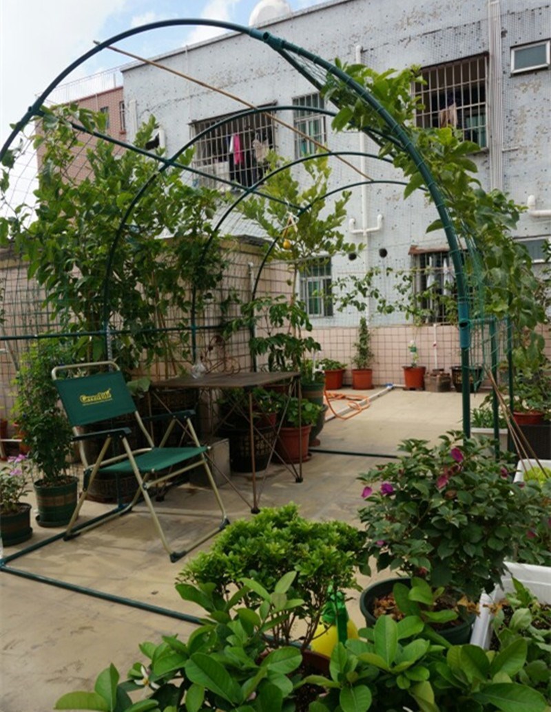 植物爬藤架 楼顶种菜爬藤 菜架攀藤架 植物攀爬园艺支架大棚骨架在类目 鲜花速递/花卉仿真/绿植园艺, 园艺用品, 其它园艺用品中 - 来自Buy2taobao.com提供专业的淘宝代购服务