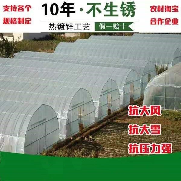 大棚骨架钢管迷你钢架温室大棚蔬菜种植棚养殖大棚连体连栋棚配件在类目 鲜花速递/花卉仿真/绿植园艺, 园艺用品, 其它园艺用品中 - 来自Buy2taobao.com提供专业的淘宝代购服务
