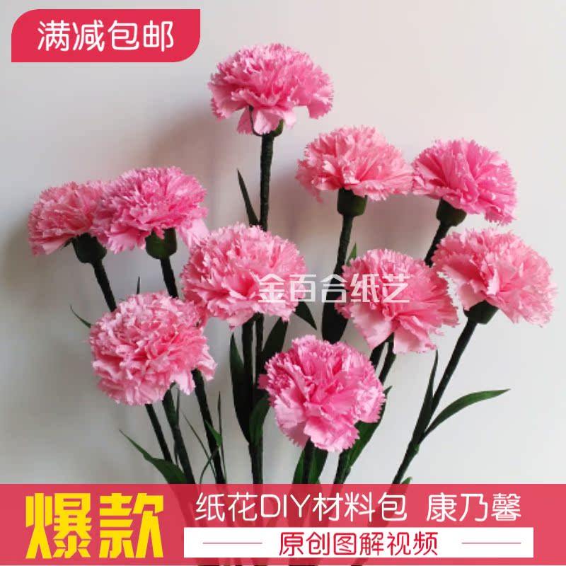 金百合纸艺 纸藤纸花康乃馨DIY材料包10支 手工礼物劳技课作业在类目 鲜花速递/花卉仿真/绿植园艺, DIY仿真花材料, 制作材料(新), 其他中 - 来自Buy2taobao.com提供专业的淘宝代购服务