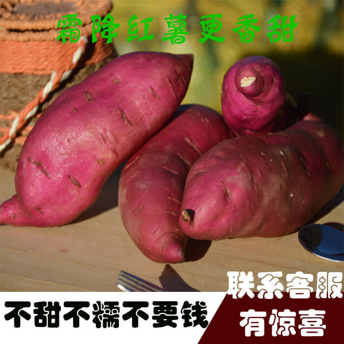 新鲜农家高原沙地红薯香薯番薯地瓜长寿瓜板栗红薯蜜薯6斤包邮在类目 水产肉类/新鲜蔬果/熟食, 新鲜蔬菜/蔬菜制品, 新鲜蔬菜, 番薯中 - 来自Buy2taobao.com提供专业的淘宝代购服务