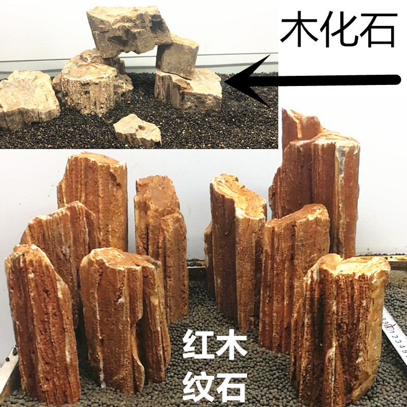 鱼缸造景石头 木化石 黄金木化石 树化石 木纹石 缅甸木化石大型在类目 宠物/宠物食品及用品, 水族世界, 鱼缸等水族设备, 造景/装饰中 - 来自Buy2taobao.com提供专业的淘宝代购服务