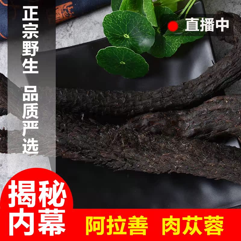 肉苁蓉野生特级500g泡酒药材男性滋补配材店铺锁阳淫羊藿在类目 传统滋补营养品, 药食同源食品, 其他药食同源食品中 - 来自Buy2taobao.com提供专业的淘宝代购服务