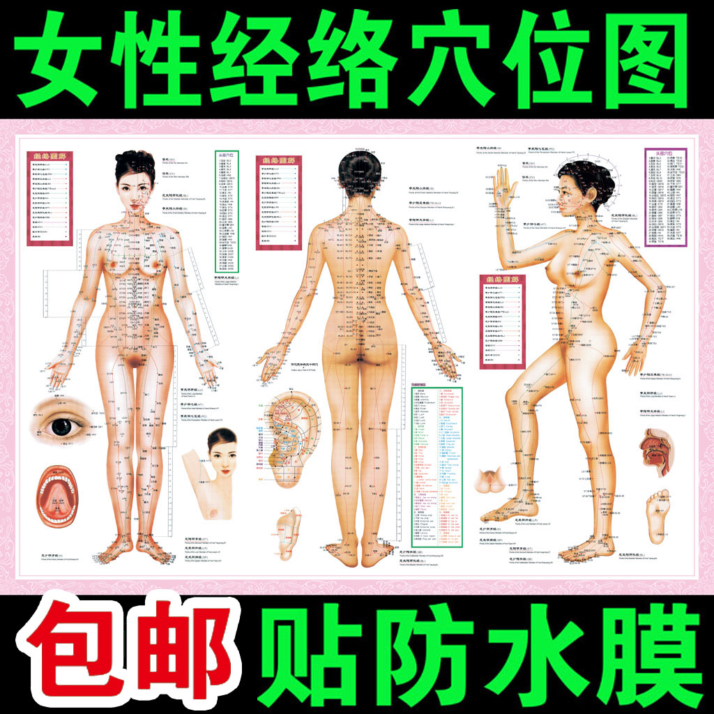 女性人体经络穴位图男性艾灸小儿推拿全身十二中医养生海报挂图在类目 个性定制/设计服务/DIY, 日用/装饰定制, 写真/海报印制中 - 来自Buy2taobao.com提供专业的淘宝代购服务