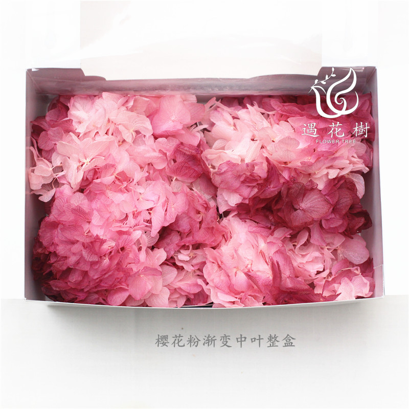 日本TOKA东北花材永生绣球渐变中叶小叶永生花材diy材料包干花在类目 鲜花速递/花卉仿真/绿植园艺, 婚礼鲜花布置, 其它中 - 来自Buy2taobao.com提供专业的淘宝代购服务
