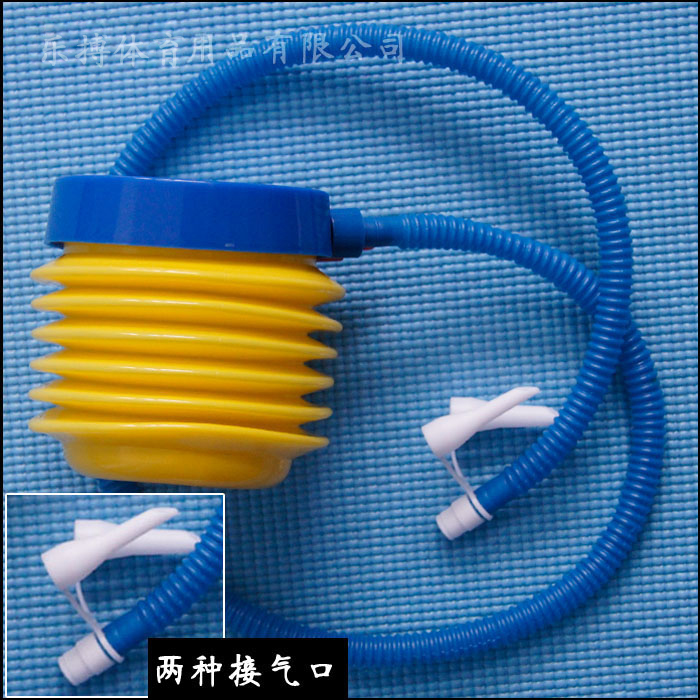 打气筒在类目 玩具/童车/益智/积木/模型, 游泳池/戏水玩具, 充气筒中 - 来自Buy2taobao.com提供专业的淘宝代购服务