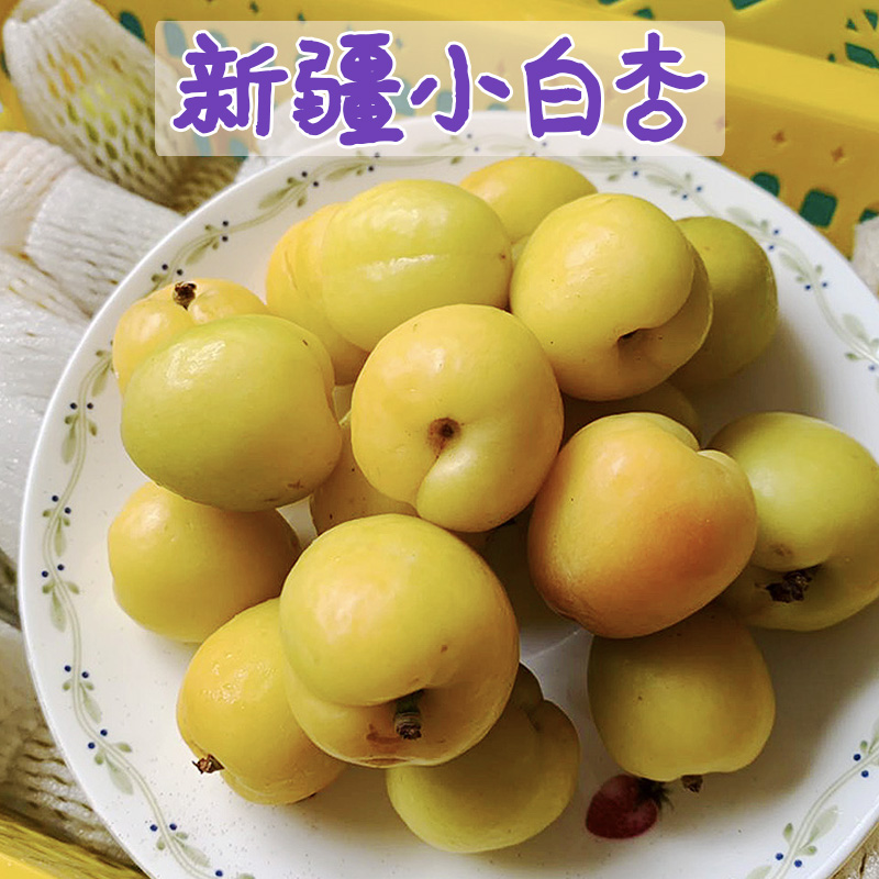 新疆特产库车小白杏新鲜水果蜜杏3斤杏子轮台小甜杏顺丰包邮|ruв категории водной мясо/свежие фрукты и овощи/еда, свежие фрукты, другие - от Buy2taobao.com для оказания профессиональной услуги покупки агента Taobao
