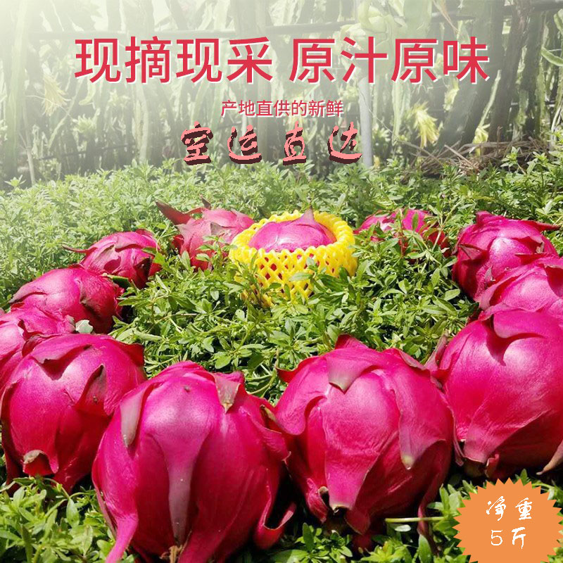 礼盒北纬18度密宝红芯心火龙果红肉密保新鲜5斤蜜宝海南京都一号在类目 水产肉类/新鲜蔬果/熟食, 新鲜水果, 其它中 - 来自Buy2taobao.com提供专业的淘宝代购服务