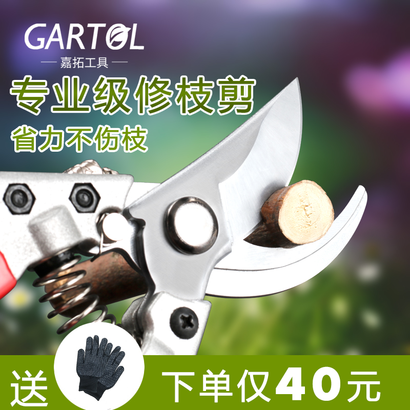 进口SK5钢修枝剪刀园林工具精钢果树剪刀园艺剪刀粗枝剪花木修花|msdalam kategori penghantaran bunga/bunga simulasi/tumbuhan berkebun, Gardening Supplies, berkebun/pisau/Shears/Saw (baru), gunting - dari Buy2taobao.com untuk memberikan perkhidmatan ejen Taobao profesional membeli