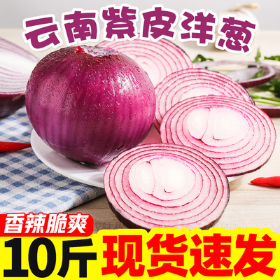 云南紫皮小洋葱净重10斤新鲜洋葱头农家自种蔬菜红皮圆葱批发包邮