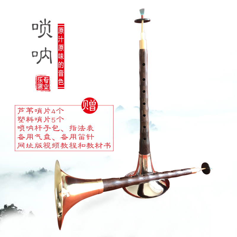 包邮正兴黑檀乌木红木d调唢呐成人儿童D调民族乐器送全套配件在类目 乐器/吉他/钢琴/配件, 民族乐器, 民族吹奏乐器, 唢呐中 - 来自Buy2taobao.com提供专业的淘宝代购服务