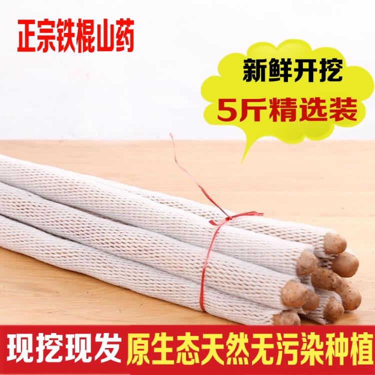 正宗铁棍山药河南焦作菏泽陈集铁棍山药新鲜铁杆怀淮山约5斤特产在类目 传统滋补营养品, 山药中 - 来自Buy2taobao.com提供专业的淘宝代购服务