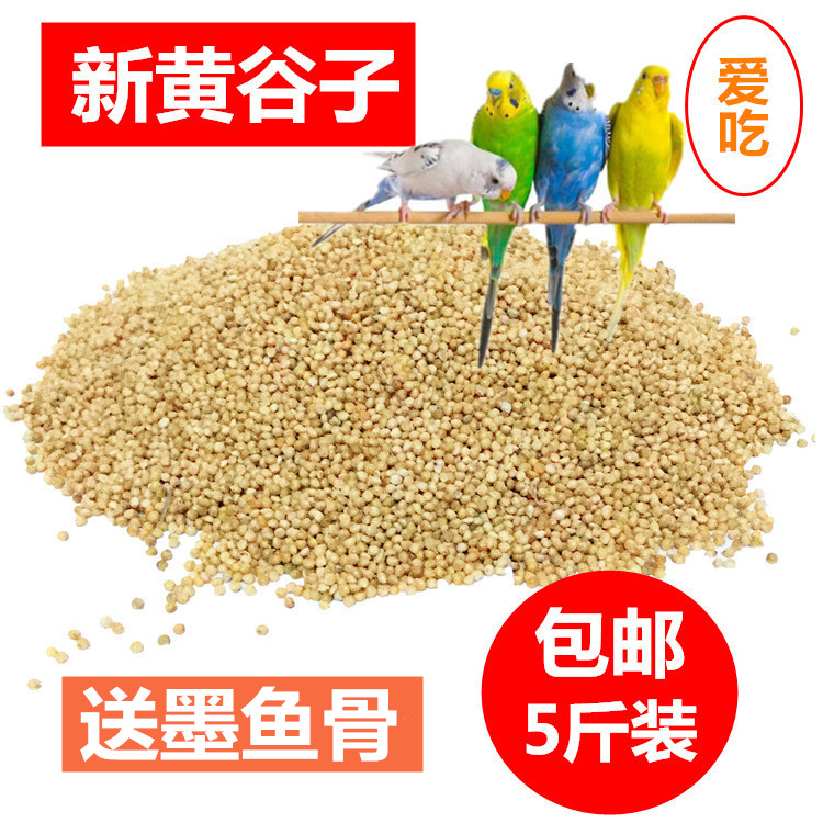 虎皮鹦鹉饲料鸟食玄凤谷子牡丹粮食文鸟带壳小米黄雀鸟粮包邮5斤在类目 宠物/宠物食品及用品, 鸟类及用品, 鸟食中 - 来自Buy2taobao.com提供专业的淘宝代购服务