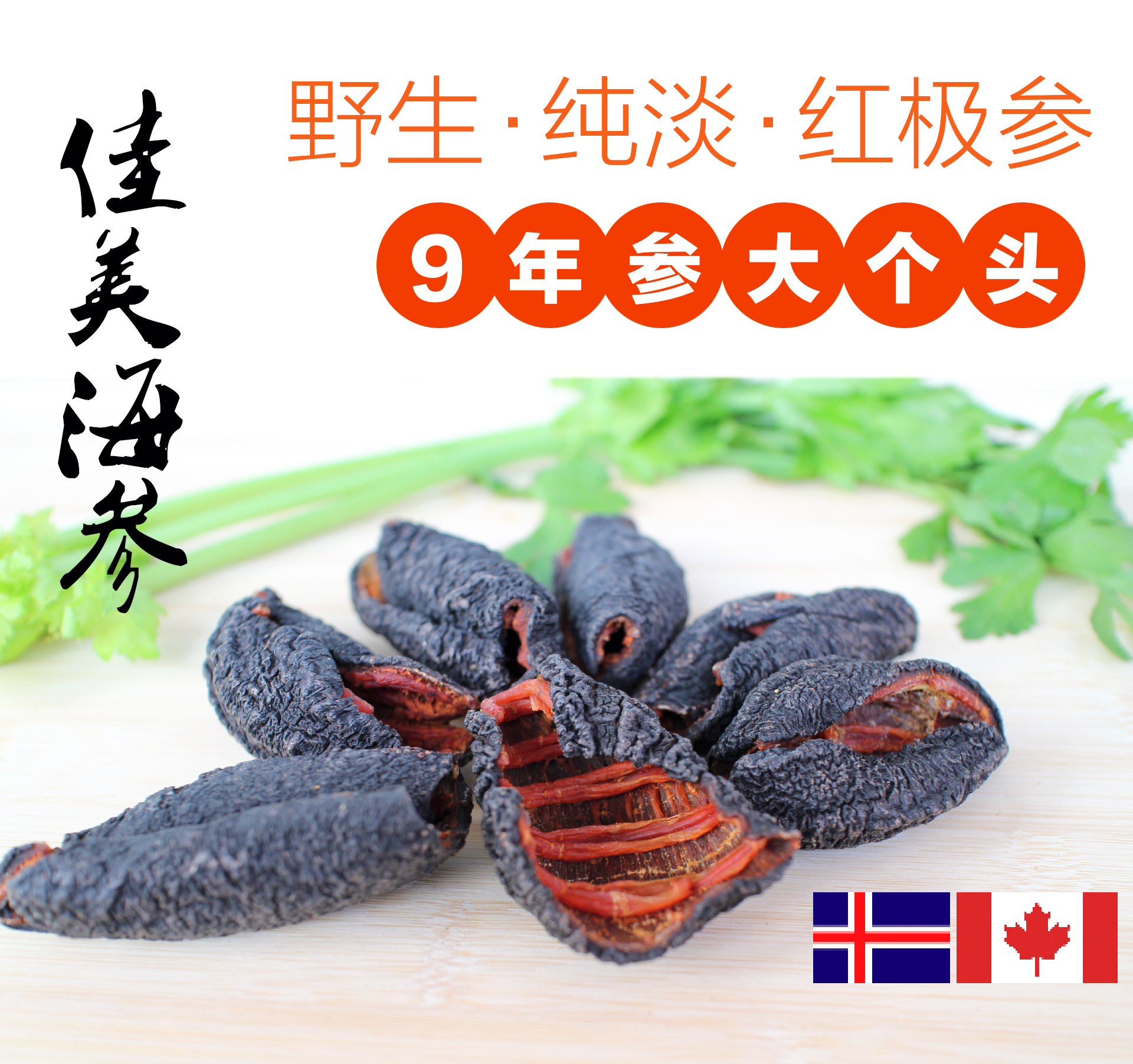 加拿大紅極參進口野生淡幹北極冰參冰島葉瓜海參 幹貨250g 壹在類目 水產肉類/新鮮蔬果/熟食, 海鮮/水產品/製品, 海蔘中 - 來自Buy2taobao.com提供專業的淘寶代購服務