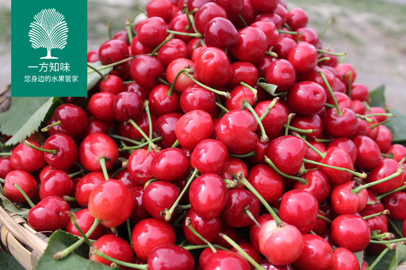 Sichuan Province Wenchuan Plateau Cherry Cherry fresh pregnant woman fruit Black Pearl 2 Seasonin the Aquatic meat/Fresh fruits and vegetables/Cooked , Fresh fruit , Cherries/Cherry category - from Buy2taobao.com to provide professional Taobao agent buy service
