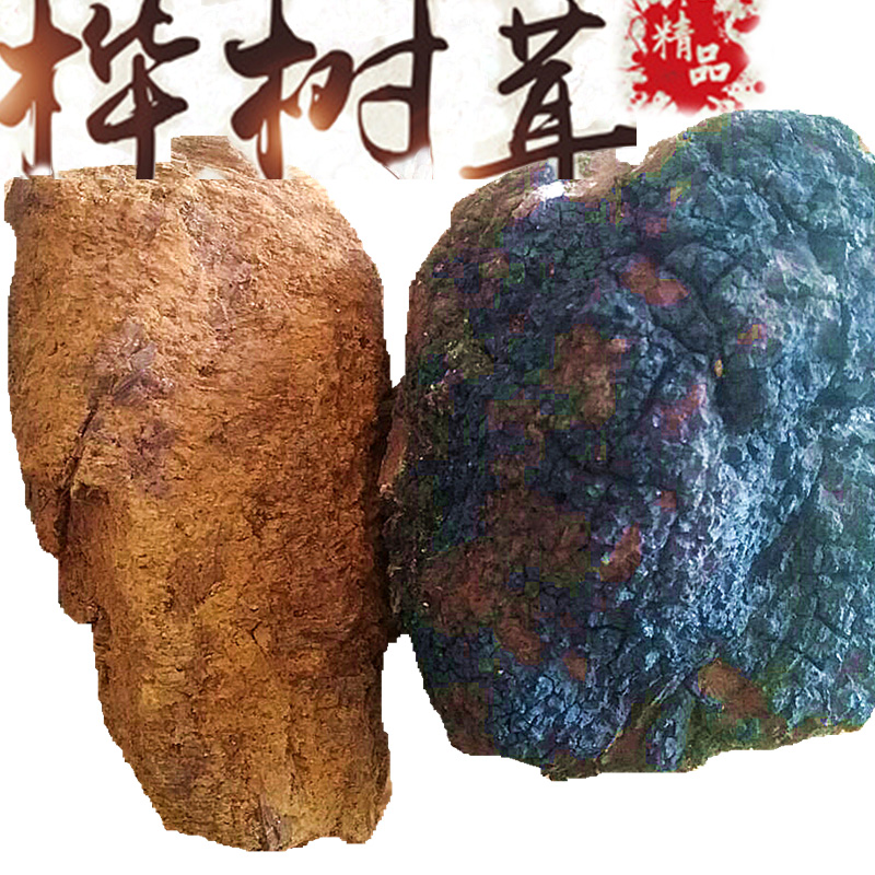 桦樹茸野生非俄羅斯白桦樹淚菇菌茶桦褐孔菌茶1斤小塊500g正品在類目 傳統滋補營養品, 藥食同源食品, 其他藥食同源食品中 - 來自Buy2taobao.com提供專業的淘寶代購服務